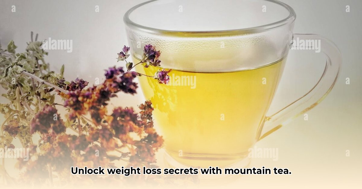 mountain-tea-for-weight-loss